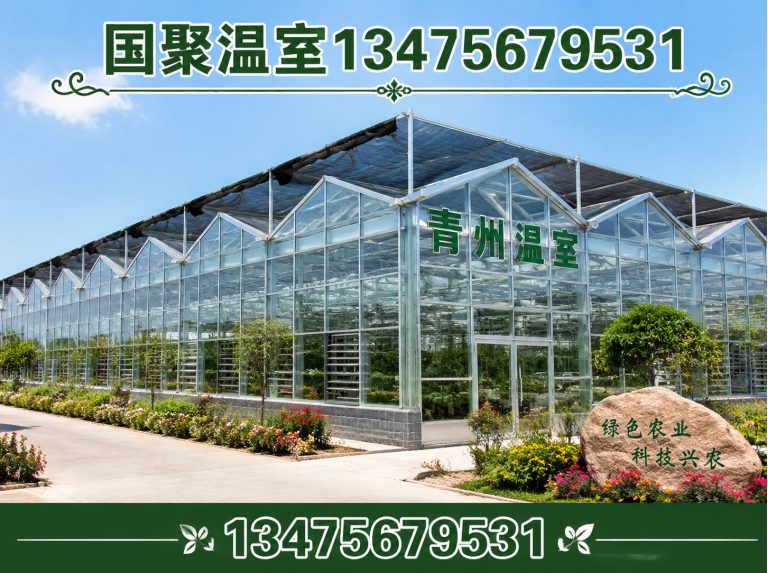 昌乐县国聚温室展示图
